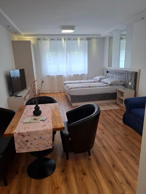 Vila Ema Apartments And Rooms Любляна Экстерьер фото