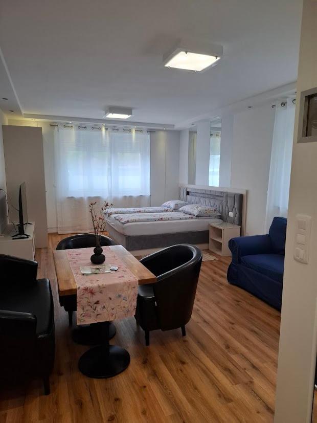 Vila Ema Apartments And Rooms Любляна Экстерьер фото