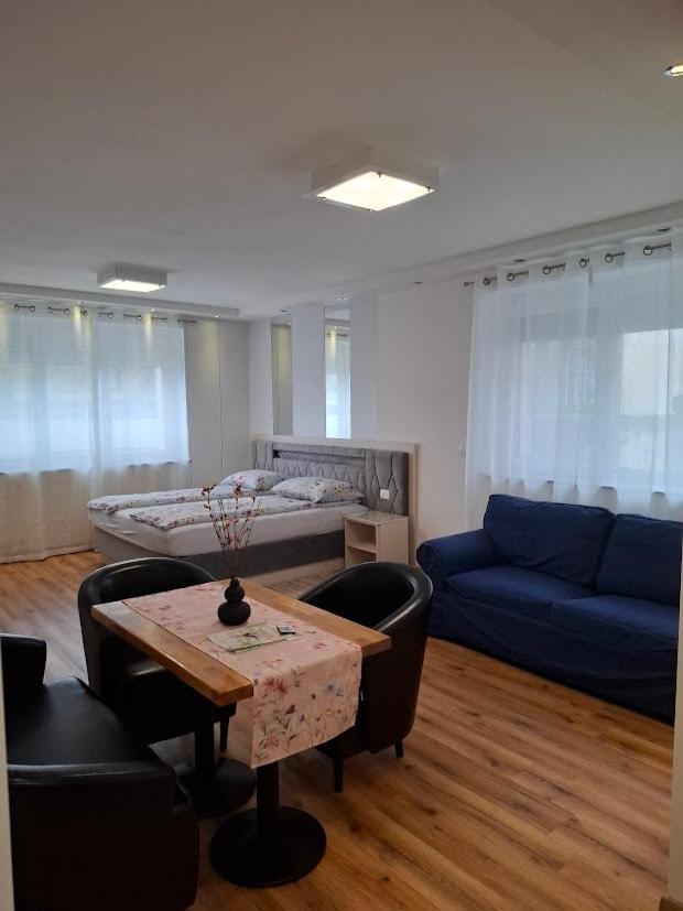 Vila Ema Apartments And Rooms Любляна Экстерьер фото